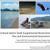 Cover of Supplemental Restoration Plan and Environmental Assessment