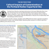 Cover of Cultural Impacts Fact Sheet