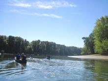 People paddling canoes on the Willamette River
