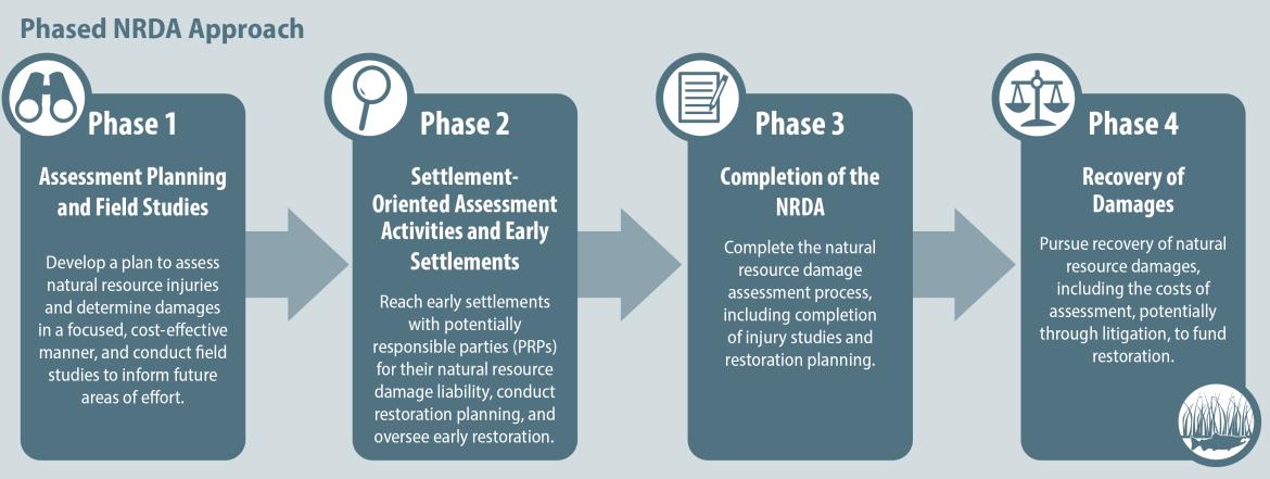 Four text boxes describing the phases of the NRDA approach.  Phase 1 (with an image of binoculars): Assessment Planning and Field Studies. Phase 2 (with a magnifying glass image): Settlement-oriented Assessment Activities and Early Settlements. Phase 3 (with a paper and pencil image): Completion of the NRDA. Phase 4 (with balanced scales image and a fish in water with plants image): Recovery of Damages.