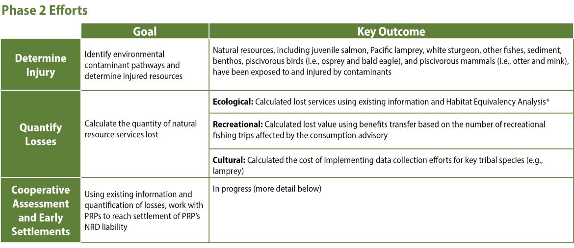 Table of Phase 2 Efforts, their goals, and key outcomes.  Efforts included Determine Injury, Quantify Losses, and Cooperative Assessment and Early Settlements