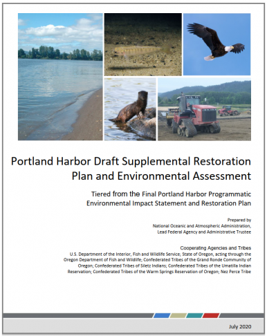 Cover of Supplemental Restoration Plan and Environmental Assessment Document