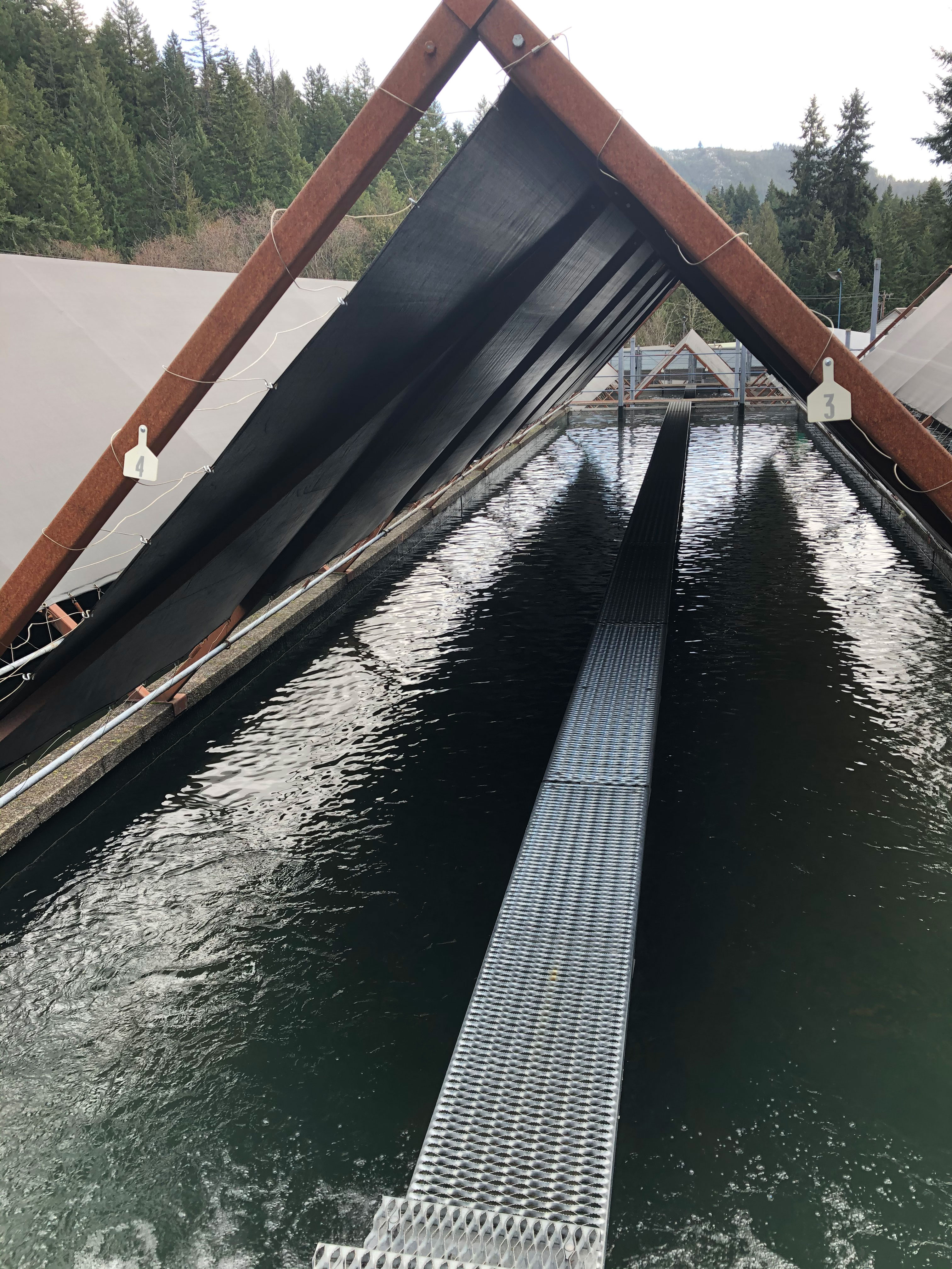 covered-raceways-credit-cheri-anderson-usfws.JPG | FWS.gov