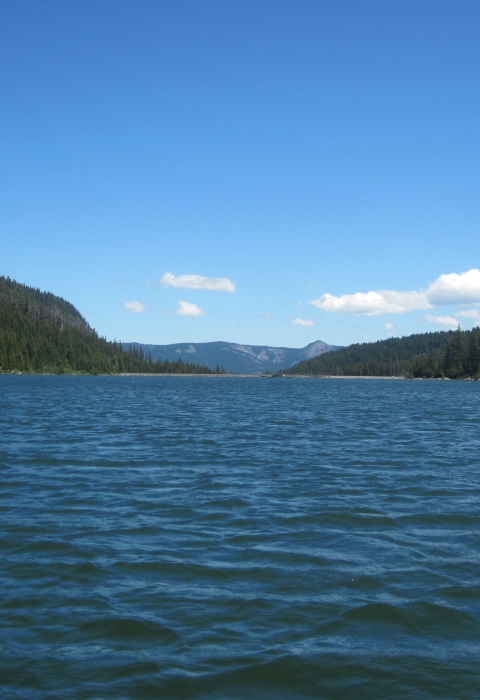 Sport Fish Restoration | Library | U.S. Fish & Wildlife Service
