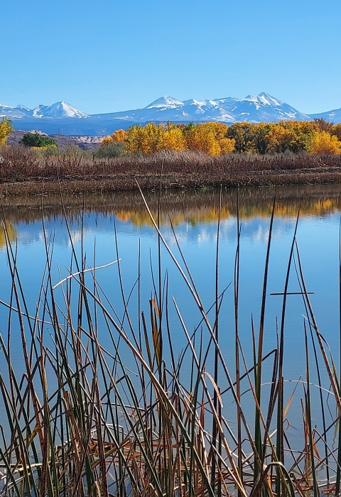 Four Rivers Razorback Pointer Increasing Water Availability for the Razorback Sucker | U.S. Fish ...