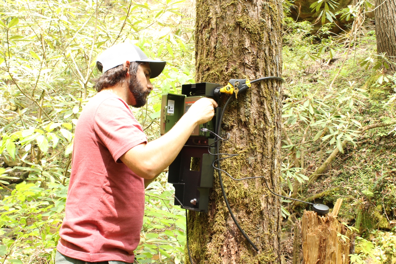 Installing-Bat-Sensor.JPG | FWS.gov