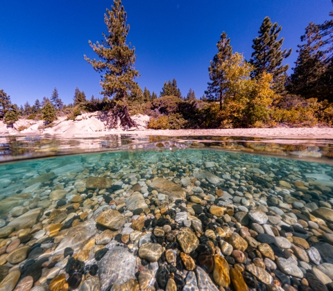 a body of water with a rocky bottom