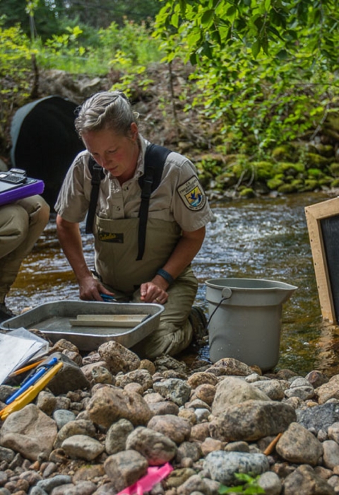 LCFWCO - Fish Sampling