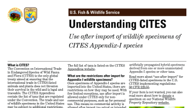 Use After Import of CITES Appendix-I Listed Species | FWS.gov