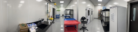 A pristine lab for metabarcoding