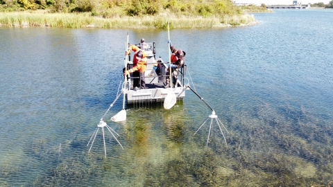 USFWS staff on a boat use nets to collect fish stunned by electrical currents in the water.