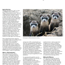 Experimental Populations: Section 10(j) of the Endangered Species Act