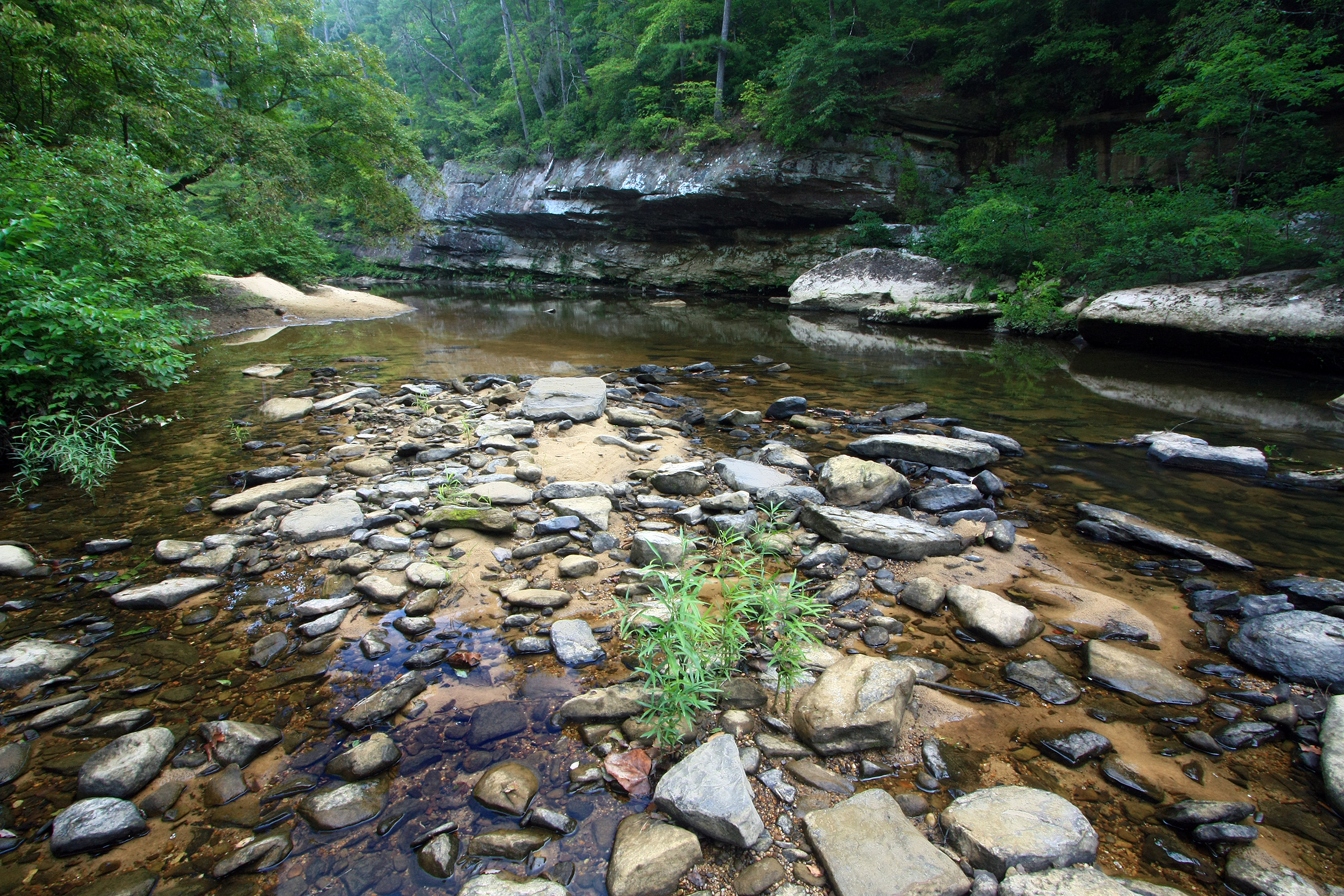The Sipsey Fork flows through a forested canyon in northwestern Alabama.