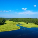 The bright blue water belonging to Cat Point Creek weaves through vivid green wetlands