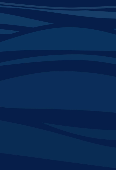 decorative blue wavy line graphic