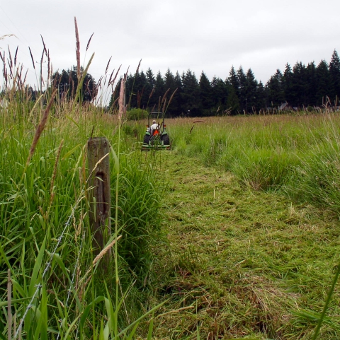 Black River Unit | U.S. Fish & Wildlife Service