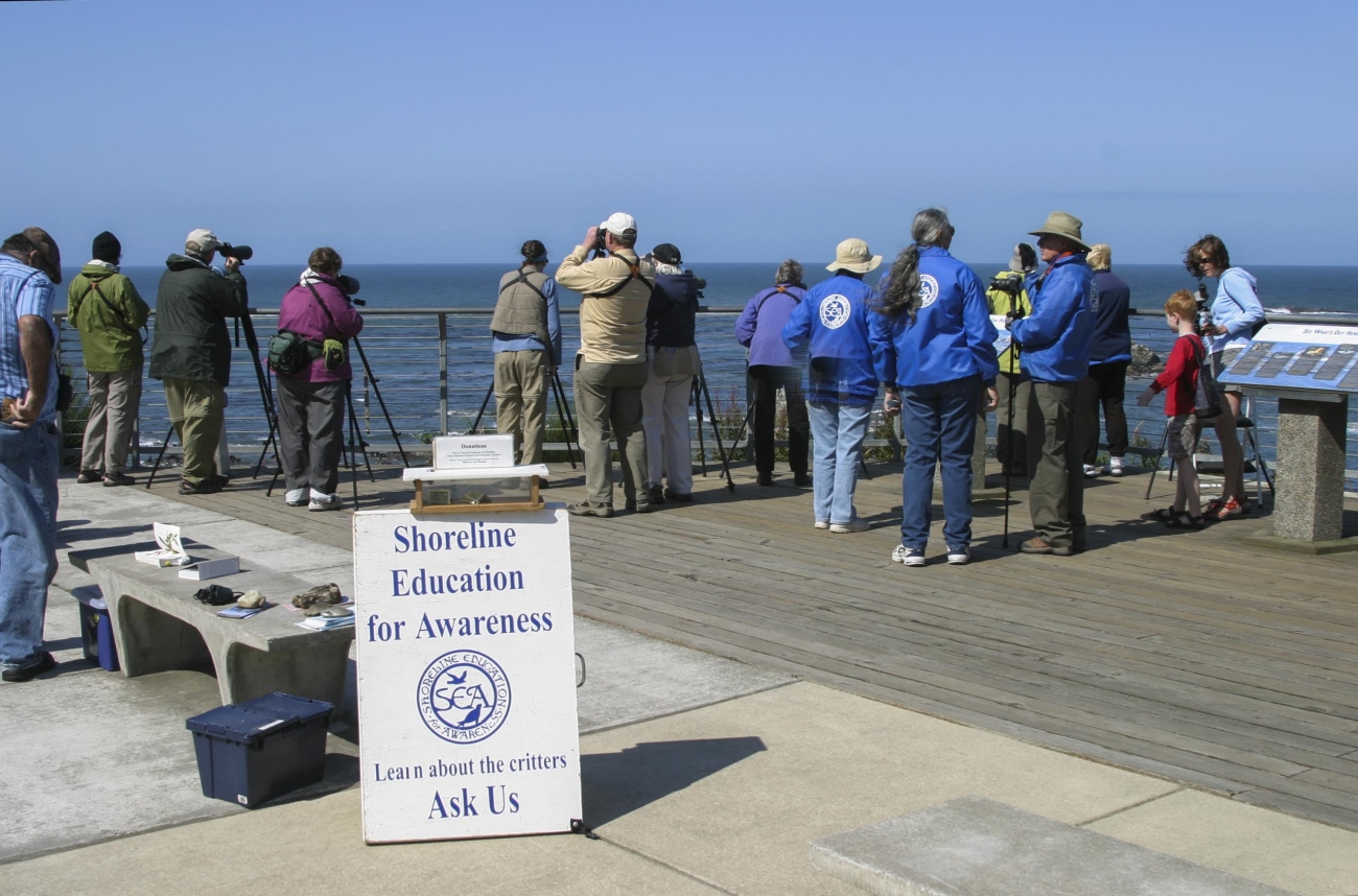 SEA volunteers at Simpson Reef by Roy Lowe.jpg | FWS.gov