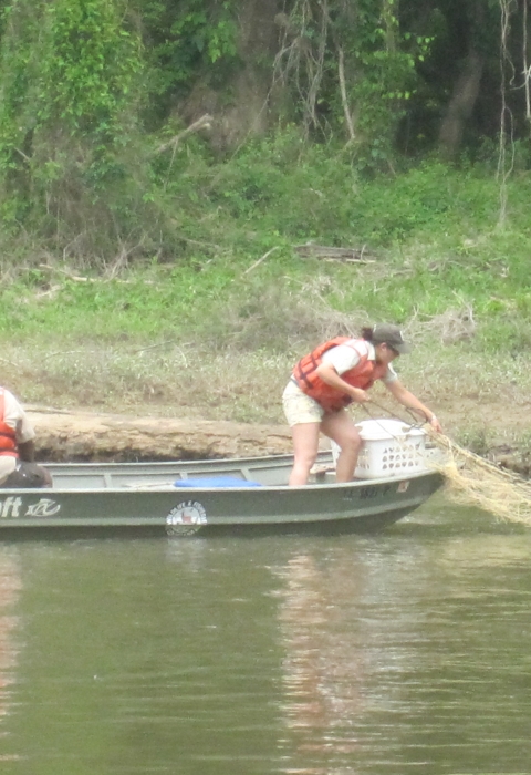 Baton Rouge Fish and Wildlife Conservation Office | Visit Us ...