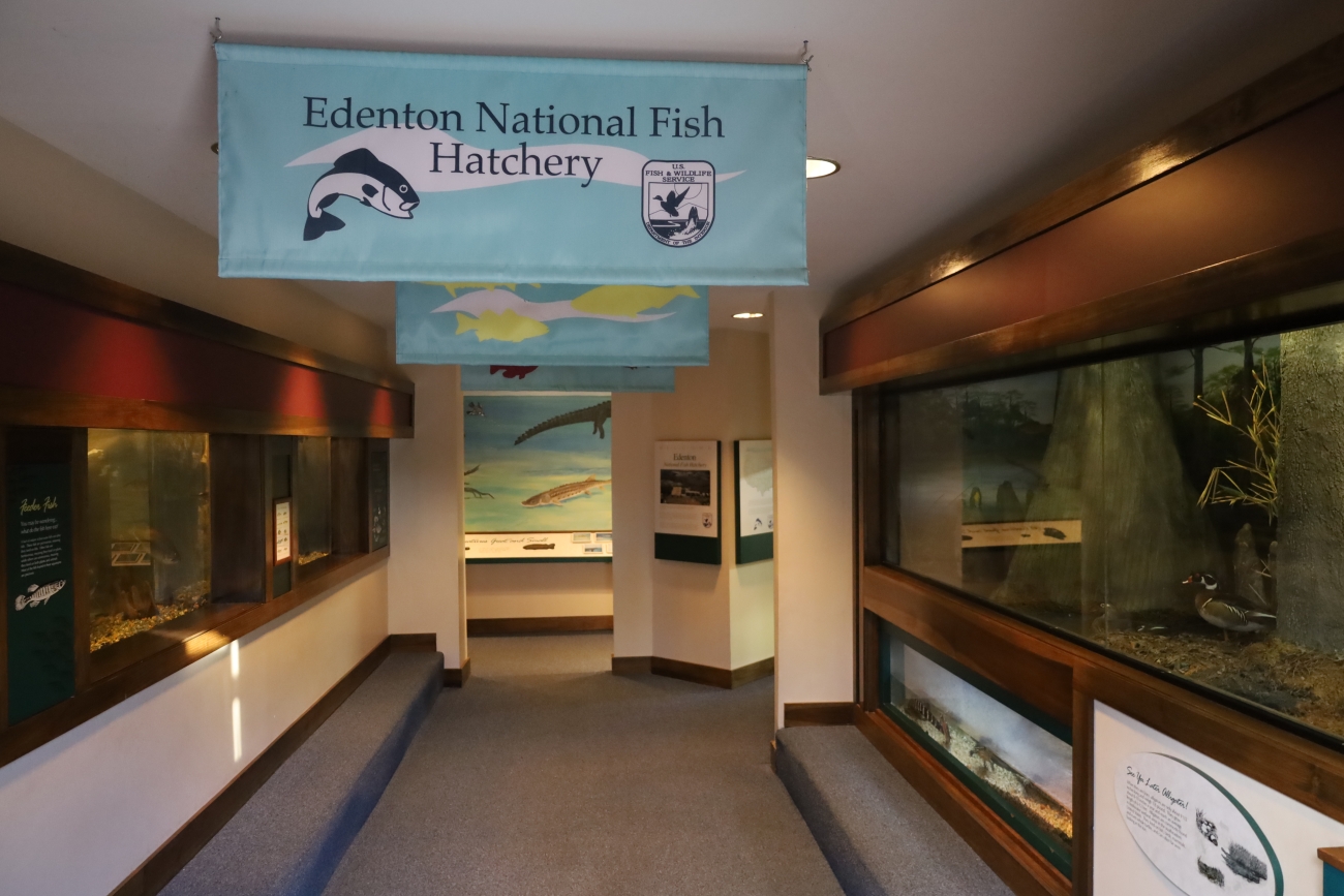 InsideofEdentonNFHAquarium2.JPG | FWS.gov