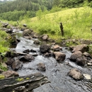 Creek with rocks and woody debris. Green hillside on both sides. 