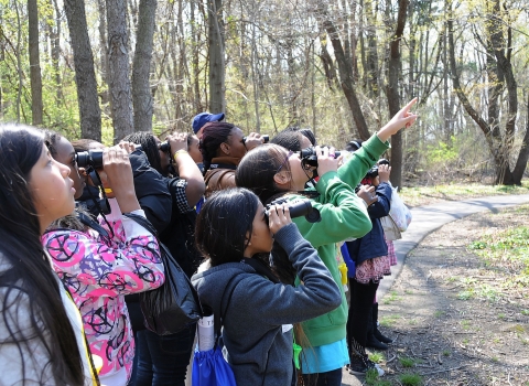 Students birdwatching