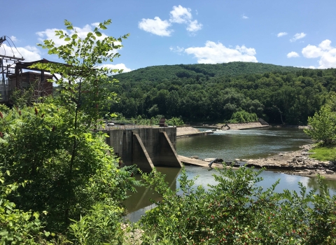 Cement dam in water surrounded by trees
