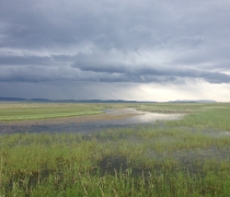 Cokeville Meadows NWR wet meadow on a summers afternoon with a thunderstorm rolling in.