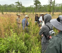 Nature festival participants stand in a wildflower field in the Francis Marion National Forest. Two trip leaders are showing the group carnivorous trumpet pitcher plants which they are holding in their hands.
