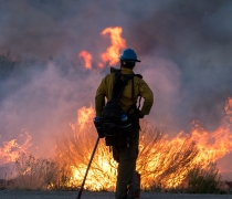 Firefighter overlooking flames
