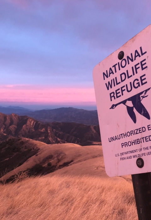 A white sign reads National Wildlife Refuge and has the Refuge System logo, a blue goose, under it. The sign is on a yellow grassy hilltop with glowing canyons beyond with a pink and purple high cloud covered sky