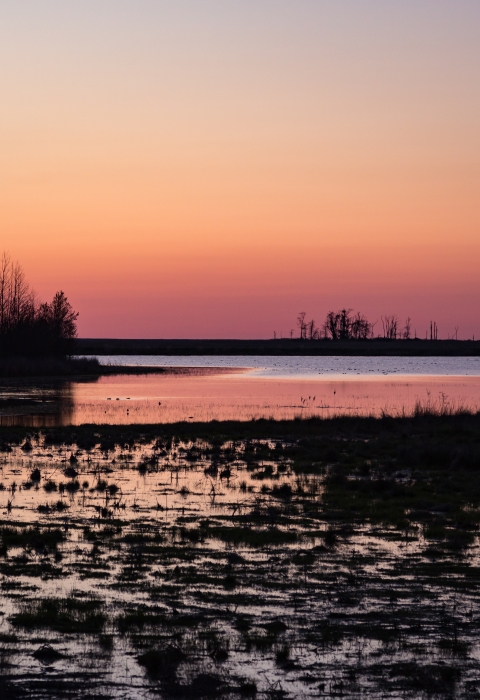 Sunset over a marsh