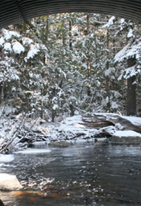 looking out an open arch culvert