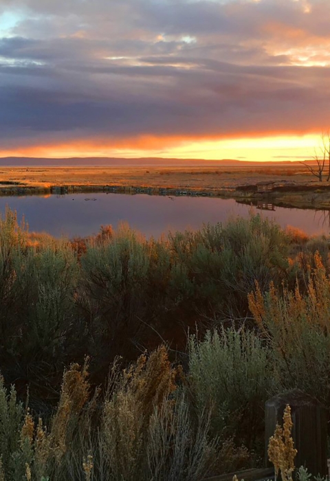 Image of Malheur Lake at sunset