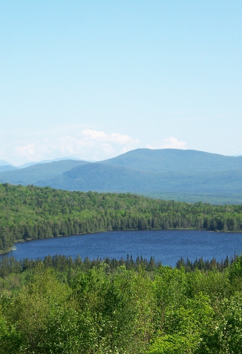 A pond between northern forests with rolling mountains behind it