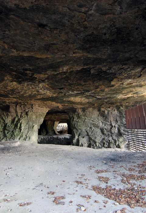 A look inside Sodalis Nature Preserve, an abandoned limestone mine