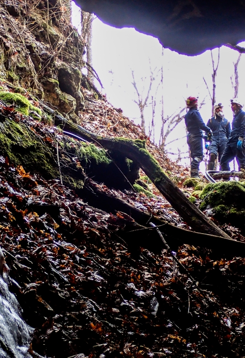 A group of four biologists wearing coveralls and helmets stand just outside the entrance to a mine