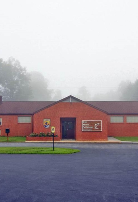 Erwin National Fish Hatchery 