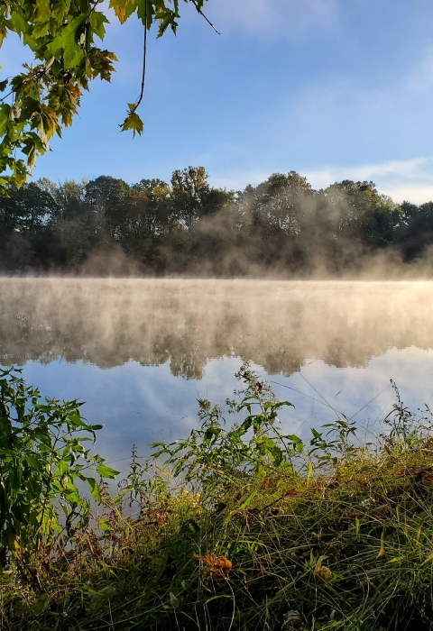 fog rising off water along Buckley Island