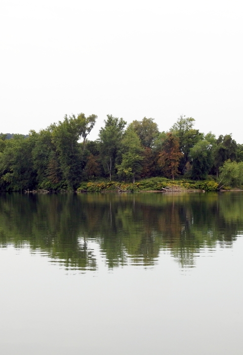 Wells Island from the Ohio River