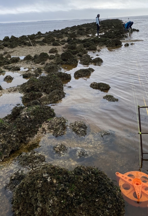 University of Florida student researchers at Lone Cabbage Reef