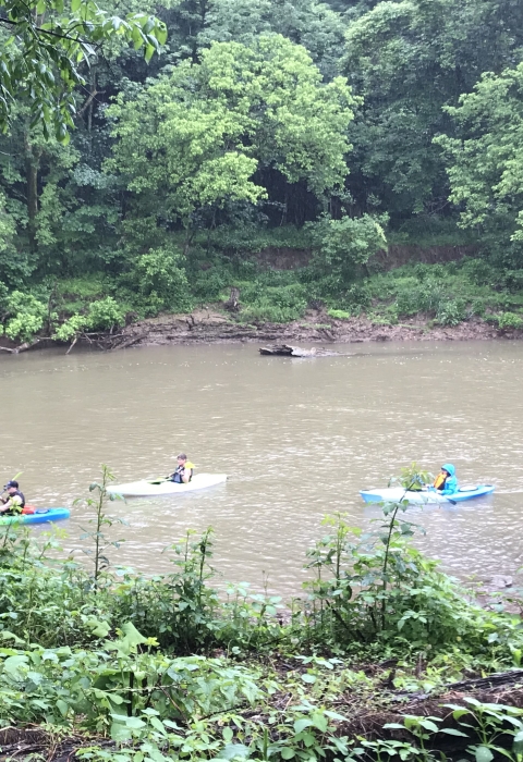 Four kayakers on the West Fork River, WV