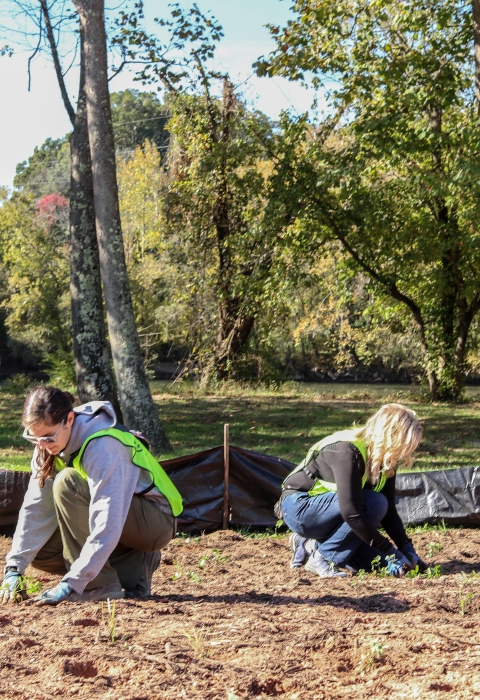 Two people, back-to-back, planting in cleared soil