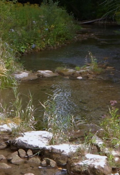 Photo of a stream restoration completed with V-shaped weirs.