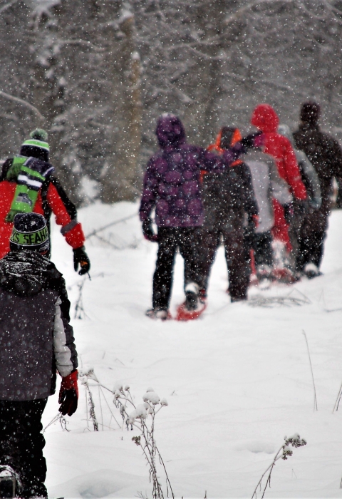  A line of kids snowshoeing in falling snow