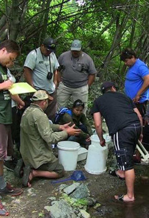 a group of people standing in an next to a stream looking in white buckets
