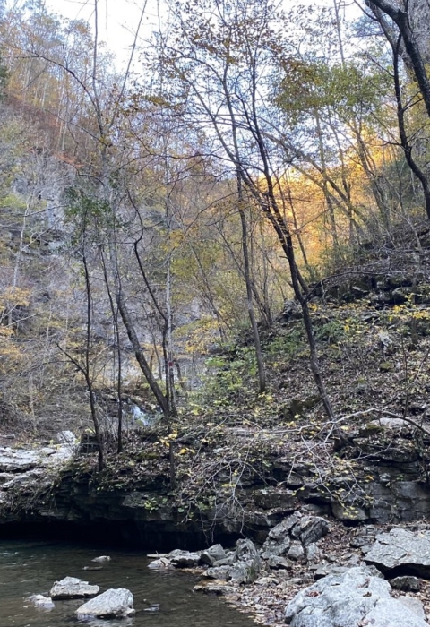 "Gentle stream flowing from the headwaters of a river in autumn forest. Rocks and fallen foliage on the shore