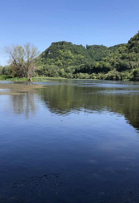 Summer photo of the Mississippi River with Bluffs covered in green trees