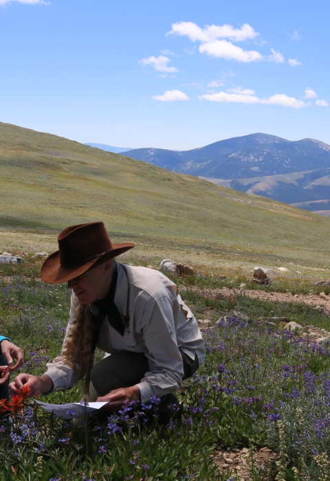 A woman in a blue shirt and a man with a brown cowboy hat on investigate a plant in the left side of the frame