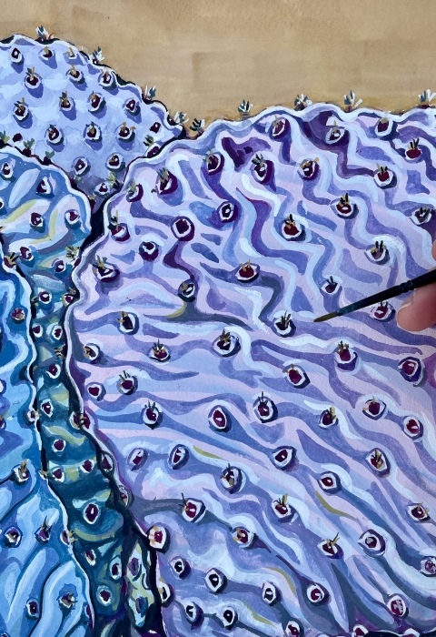 Watercolor painting of a prickly pear cactus