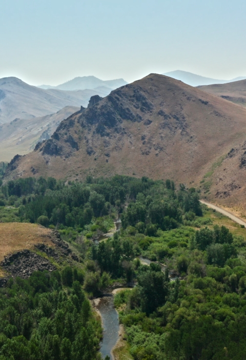 Aerial view of baugh creek with green vegetation and dry, brown mountains surrounding